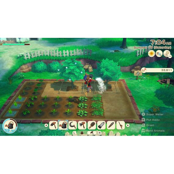 Story of Seasons: Grand Bazaar / Nintendo Switch - Nintendo Switch Games - Games - Techbox