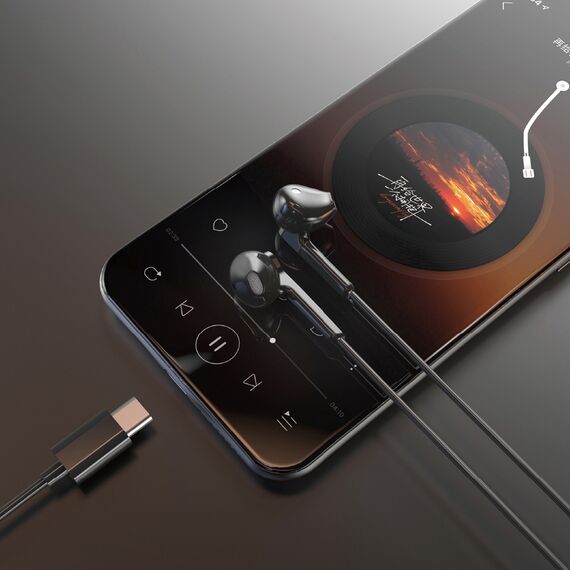 Dudao X3C in-ear wired USB-C headphones 1.2m - black - Headsets - Speakers & Headphones - Techbox