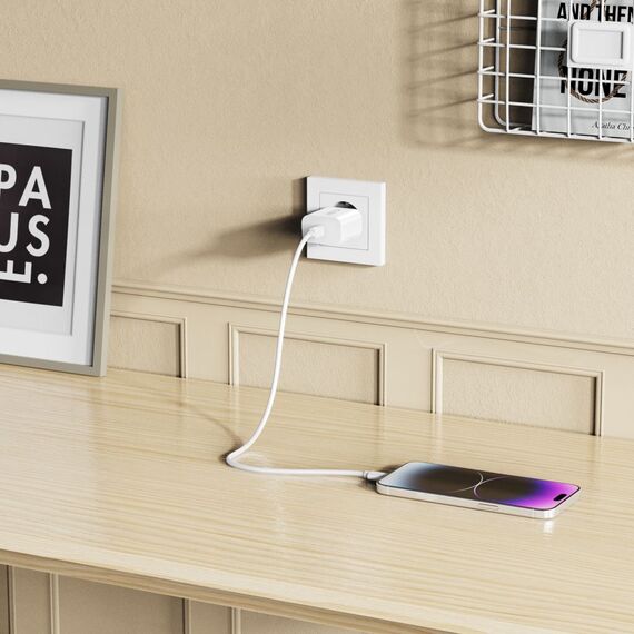 Tech-Protect NC20W Wall Charger with 100 cm USB-C / Lightning Cable - White