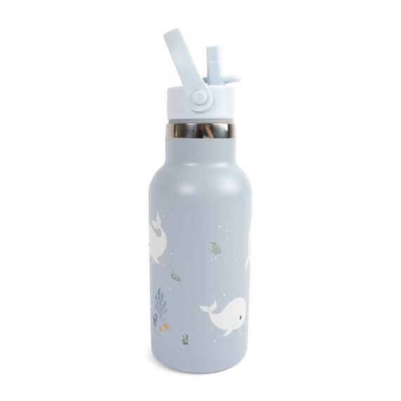 Filibabba - Stainless Steel Water Bottle - Blue - 350ml / Toys