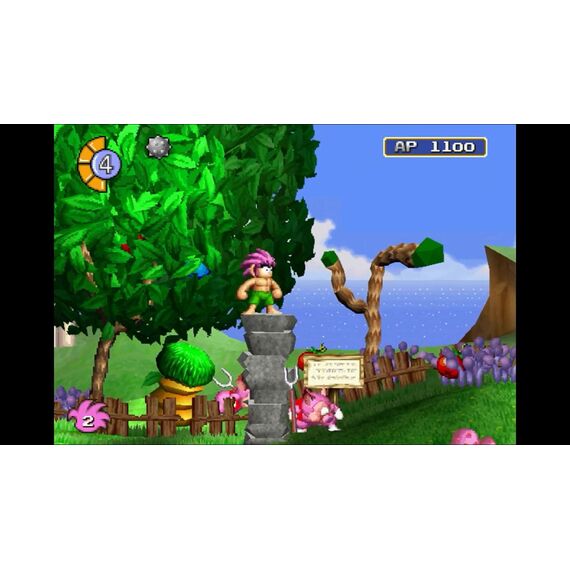 Tomba Special (Deluxe Edtion) (Import) / Nintendo Switch | Techbox