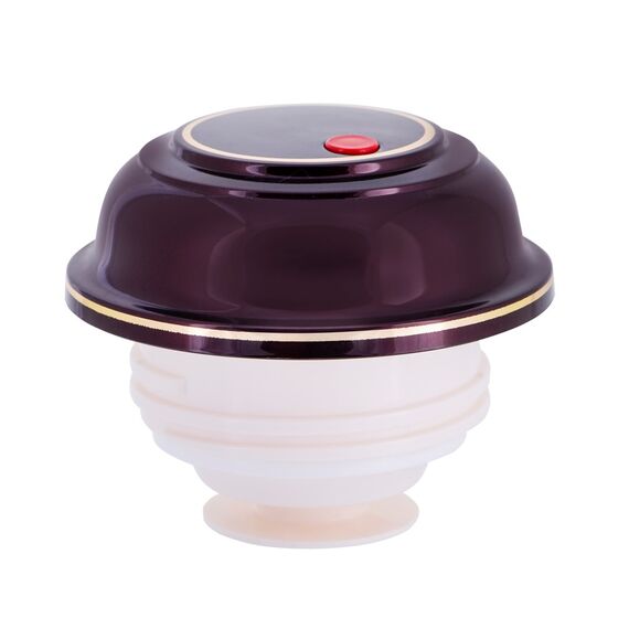 ROTPUNKT 330-16-04-0 vacuum flask 1 L Cherry - Various - Coffee & Beverages - Techbox