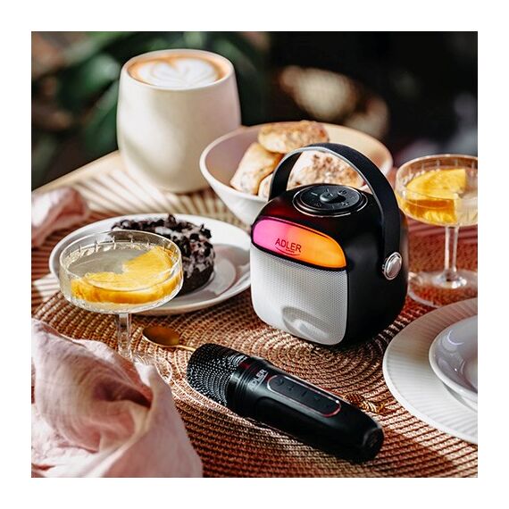 Adler AD 1199 black Karaoke speaker with microphone - SD/USB/AUX/Bluetooth | Techbox