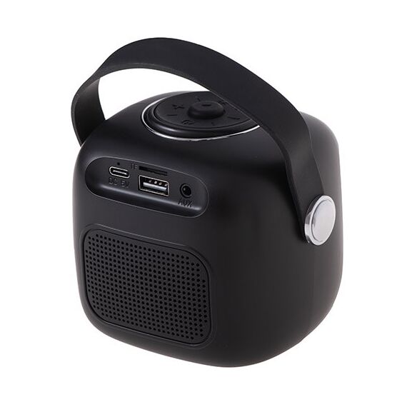 Adler AD 1199 black Karaoke speaker with microphone - SD/USB/AUX/Bluetooth | Techbox