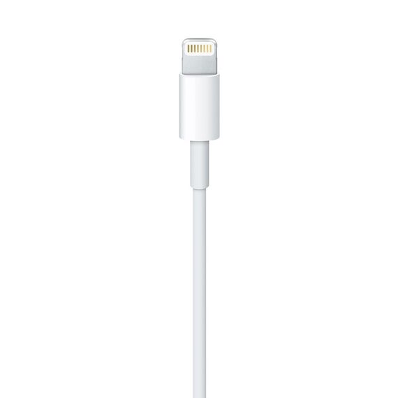 Apple Lightning to USB Cable (1В m) | Techbox