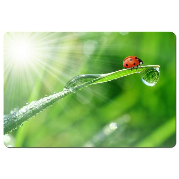 Esperanza EA133 mouse pad Multicolor - MousePads - Keyboards & Mice - Techbox