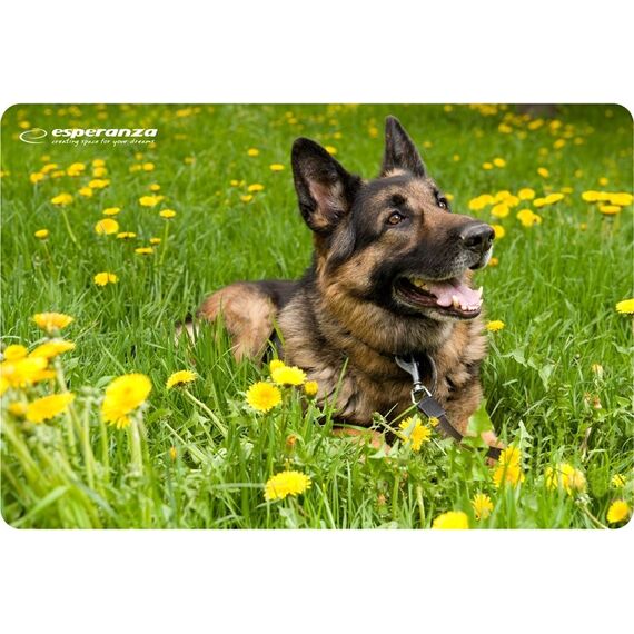 Esperanza EA133 mouse pad Multicolor - MousePads - Keyboards & Mice - Techbox