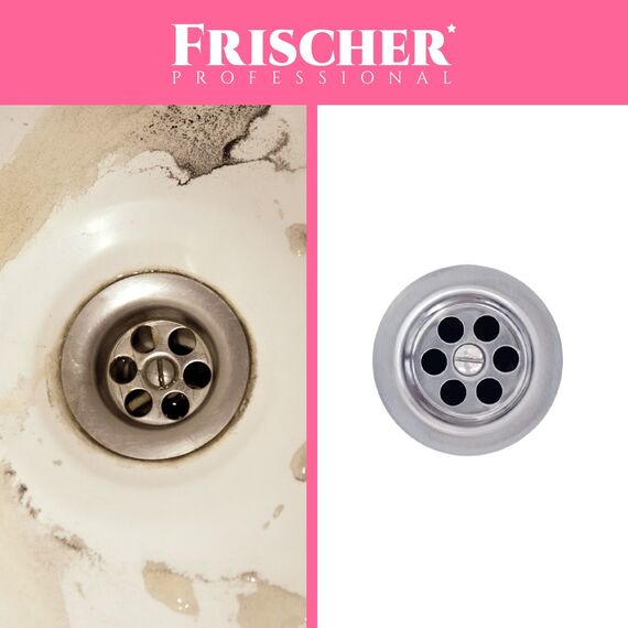 Frischer bathroom descaler 1l | Techbox
