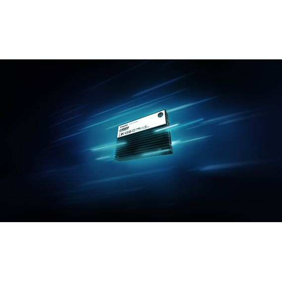 Kingston Technology 3.84TB DC3000ME U.2 PCIe 5.0 NVMe TCG Opal Enterprise SSD | Techbox