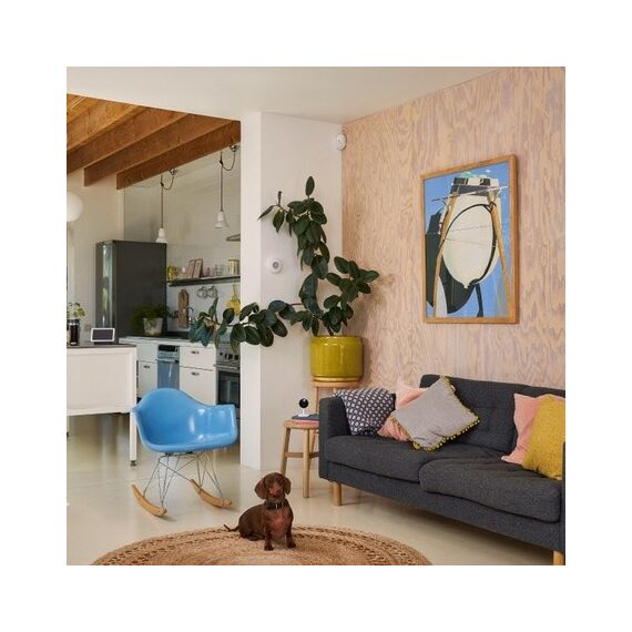 Yale Indoor Motion Sensor Infrared sensor Wireless Wall White - Smart Home - Security - Techbox