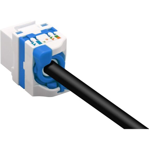 Techly CAT 6a KeyStone RJ45 Jack UTP unshielded Tooless IWP-MD C6A/UROTT - Electricity - More Products - Techbox