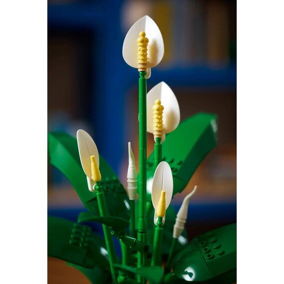 LEGO BOTANICALS 11504 Peace Lily |  Techbox