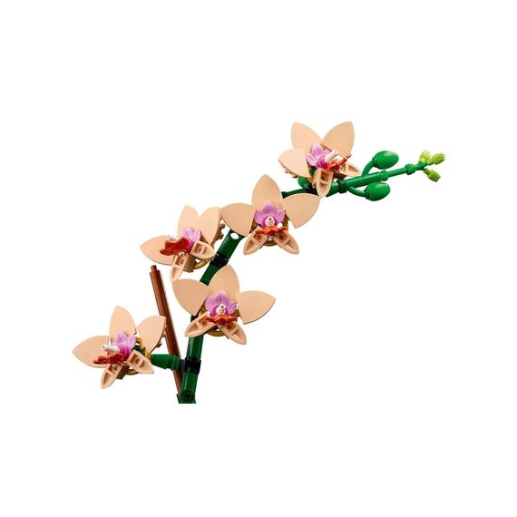 LEGO ICONS 10343 The Botanical Collection - Mini Orchid - Lego - Collectibles - Techbox