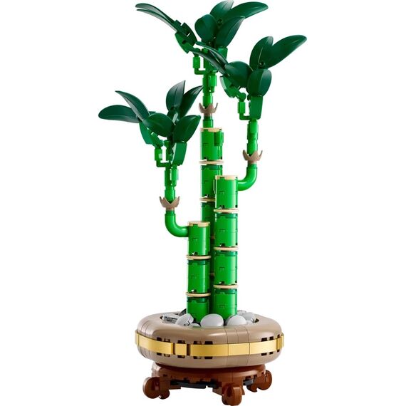 LEGO ICONS 10344 The Botanical Collection - Lucky Bamboo - Lego - Collectibles - Techbox