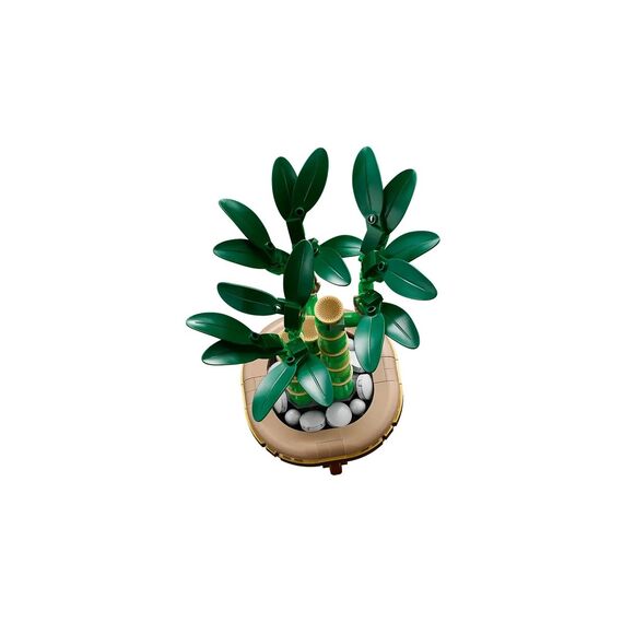 LEGO ICONS 10344 The Botanical Collection - Lucky Bamboo - Lego - Collectibles - Techbox