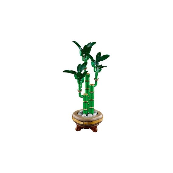 LEGO ICONS 10344 The Botanical Collection - Lucky Bamboo - Lego - Collectibles - Techbox