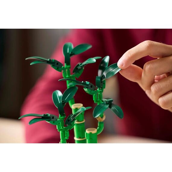 LEGO ICONS 10344 The Botanical Collection - Lucky Bamboo - Lego - Collectibles - Techbox