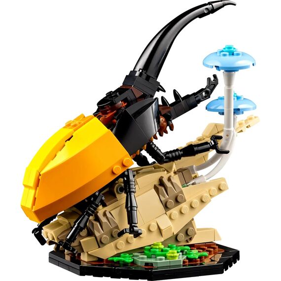 LEGO IDEAS 21342 The Insect Collection |  Techbox