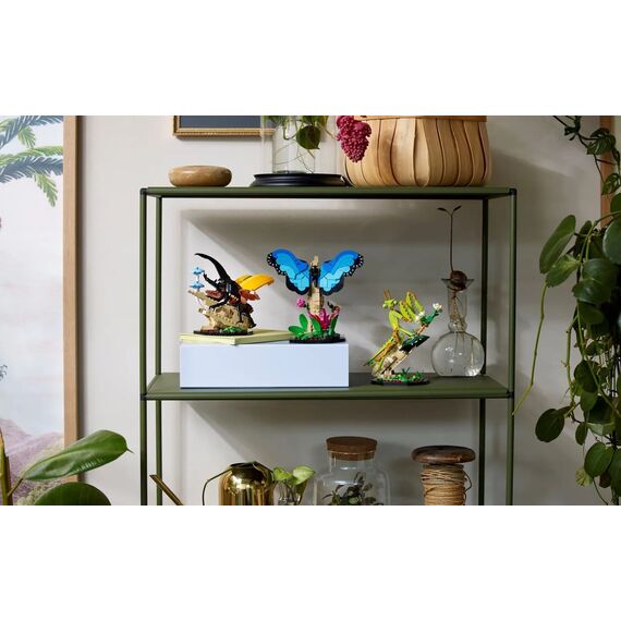 LEGO IDEAS 21342 The Insect Collection |  Techbox
