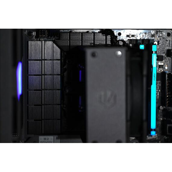 Actina 5901443410294 PC AMD Ryzen™ 7 8400F 32 GB DDR5-SDRAM 1 TB SSD Intel Arc B580 Midi Tower Black - Ready-made PC - Ready-made - Techbox