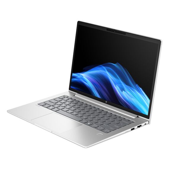 HP ProBook 4 G1A Ryzen 7 250 AI 14"WUXGA 300nits AG 16GB DDR5 5600 SSD512 Radeon 780M Cam1080p  56Wh W11Pro Pike silver 3Y OnSite | Techbox