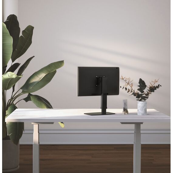 Gembird MS-D1ST-02 Height adjustable full-motion monitor desk stand, 17"-32", black - Stands & Accessories - Monitors & Mounts - Techbox