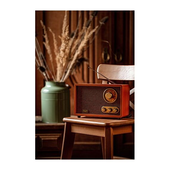 Radio Adler AD 1171 | Techbox