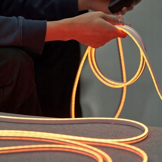 Vention Silicone Neon LED strip with remote control, 12V, 2m | Techbox