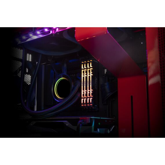 Kingston Technology FURY Renegade RGB memory module 16 GB 1 x 16 GB DDR4 3600 MHz - DIMM (Desktop) - RAM - Techbox