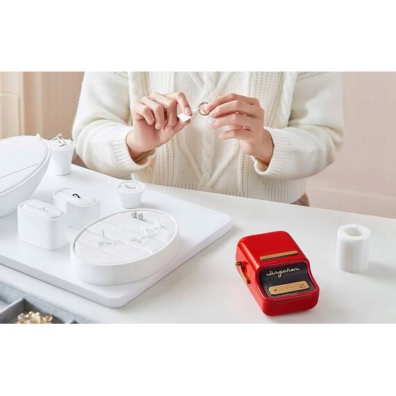 Niimbot B21S Label Printer Red | Techbox