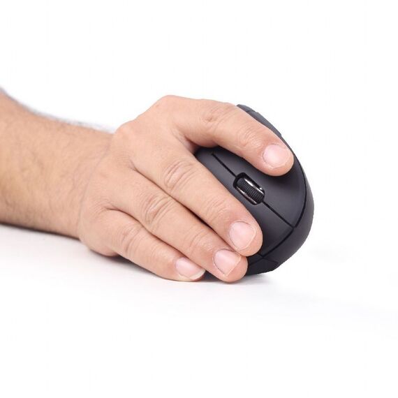 Gembird MUSW-ERGO-01 mouse Right-hand RF Wireless Optical 1600 DPI | Techbox