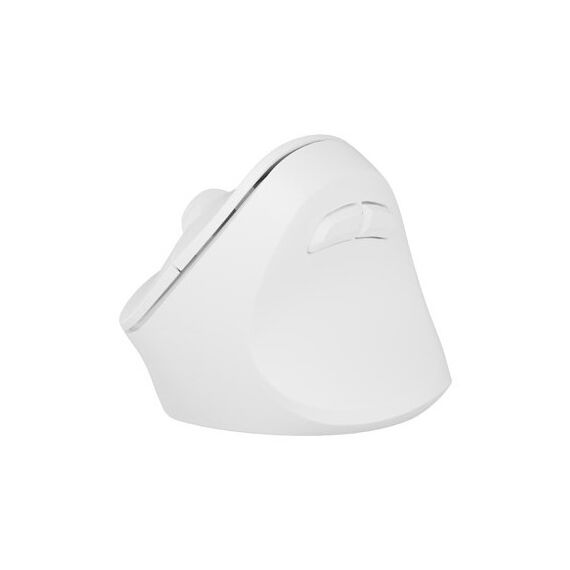 NATEC Crake 2 mouse Universal Right-hand RF Wireless + Bluetooth Optical 2400 DPI | Techbox