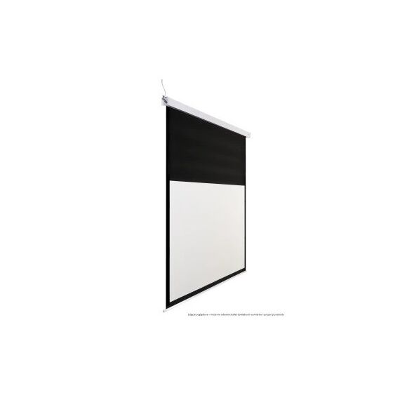 Avtek Business Electric Screen 300P | Techbox