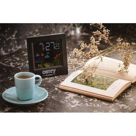 Camry CR 1166 Weather station | Techbox