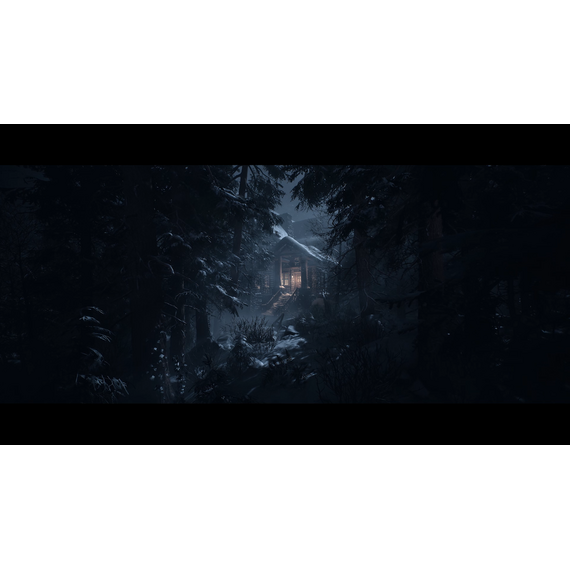 Until Dawn (UK/AR) / PlayStation 5 | Techbox
