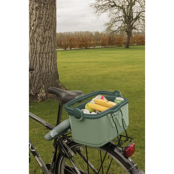 Tourist Refrigerator green 10L 261196 CURVER | Techbox