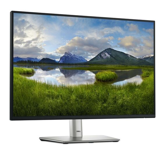 DELL Pro Plus P2425 computer monitor 61.1 cm (24.1") 1920 x 1200 pixels WUXGA LCD Black - Monitors - Monitors & Mounts - Techbox