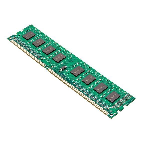 PNY 8GB PC3-12800 1600MHz DDR3 memory module 1 x 8 GB | Techbox