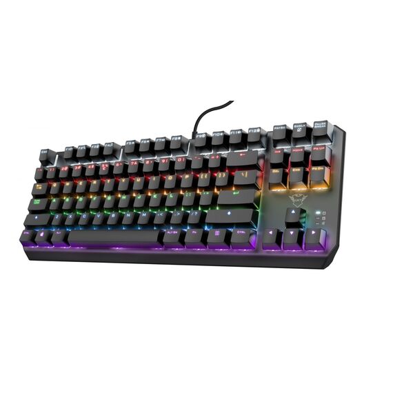 TRUST GXT834 CALLAZ TKL KEYBOARD ND / Computers