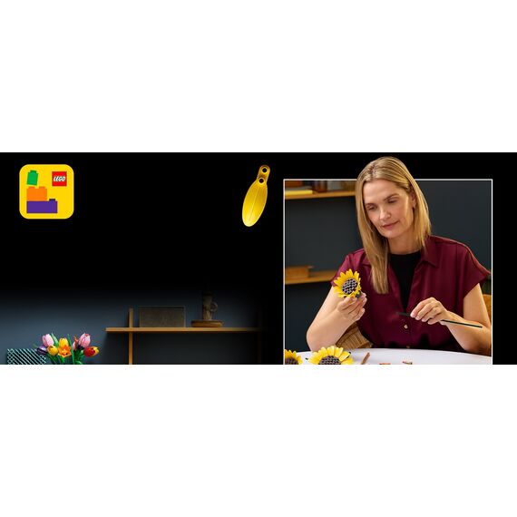 BERG - Safety Net Deluxe 270 (35.72.19.03) / Toys