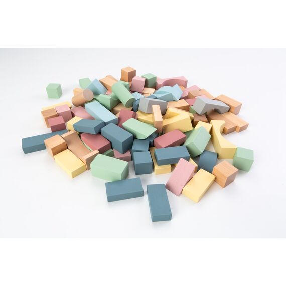 Kinder and Kids - 100pcs blocks set (K50500) / Toys