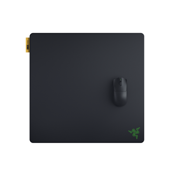 Razer - Gigantus V2 Pro L Mouse Pad - Speed / Computers