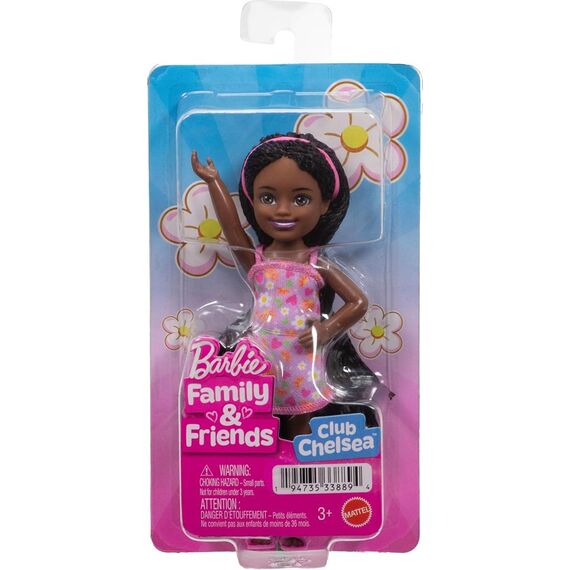 Barbie - Chelsea and Friends Doll - Ari with Braided Hair (JJB34) / Toys