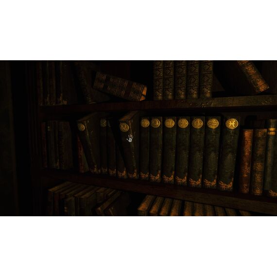 Portrait of a Torn (Deluxe Edition) / PlayStation 5