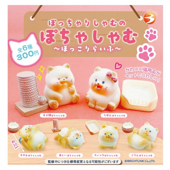 GASHAPON - Pochasham Hokkori Life (Lot de 40 Capsule)