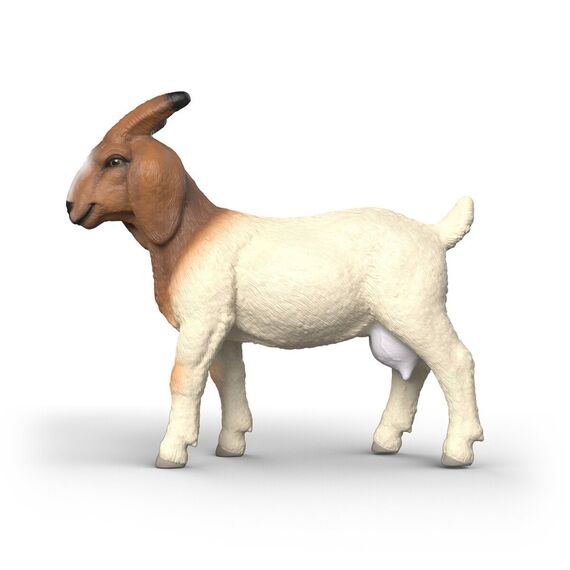 Schleich - Boer Goat (14929) / Toys