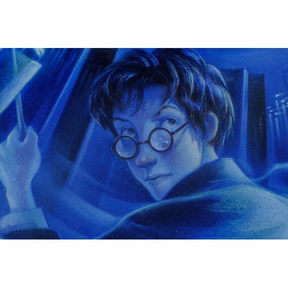 Harry Potter Coasters Book Inspired (Set of 7)
