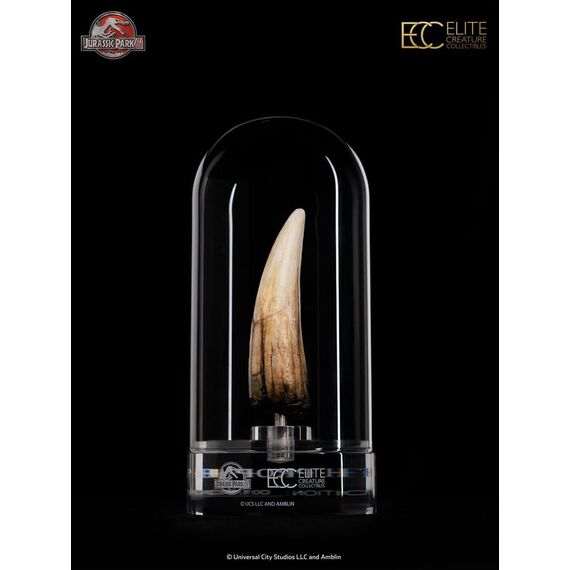 Jurassic Park III Prop Replica 1/1 Spinosaurus Tooth 14 cm
