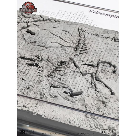 Jurassic Park III Excavation Map Velociraptor 27 cm