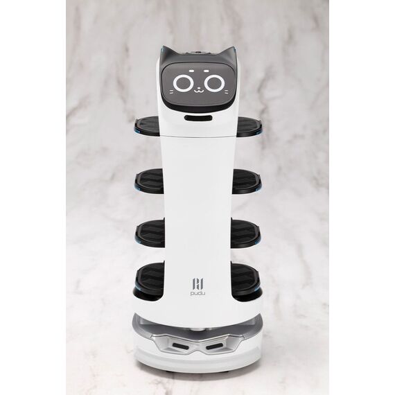 Pudu Robotics Grande ScalePlastic Model Kit BellaBot 19 cm